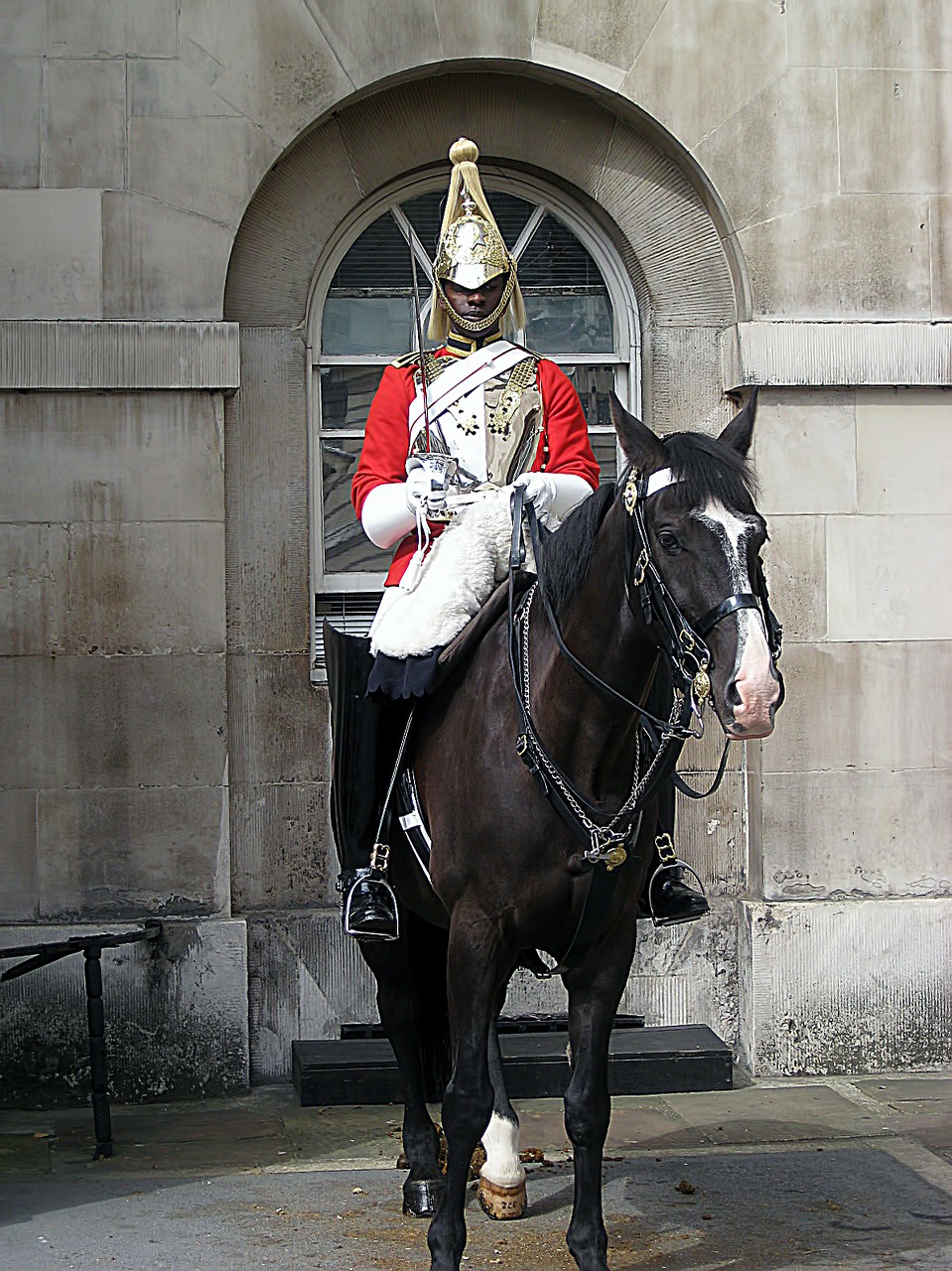 horse guard london free photo