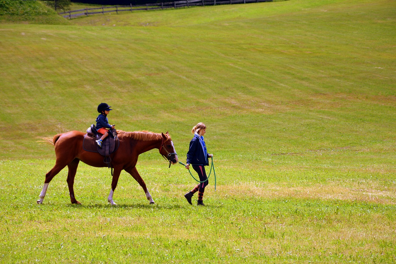 horse horse racing ride free photo