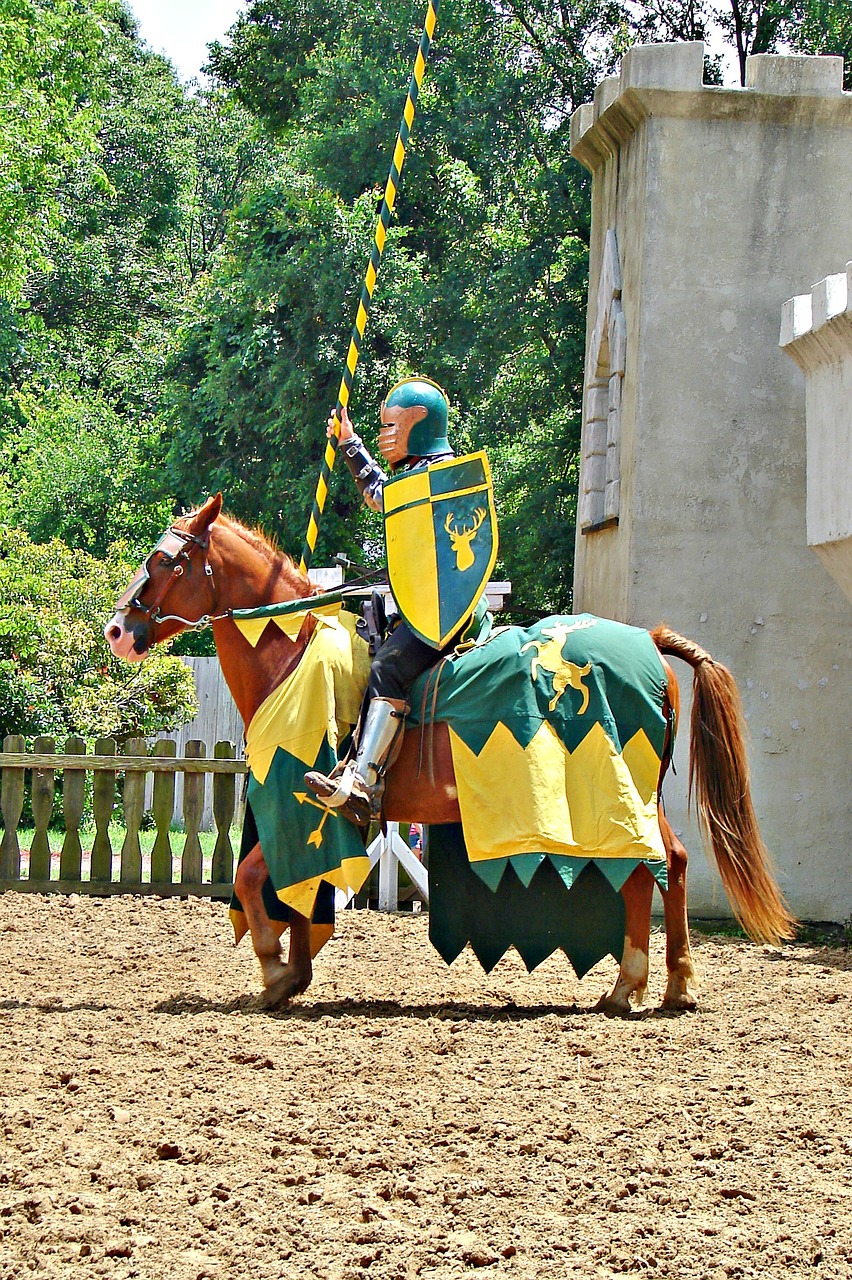 horse knight jousting free photo