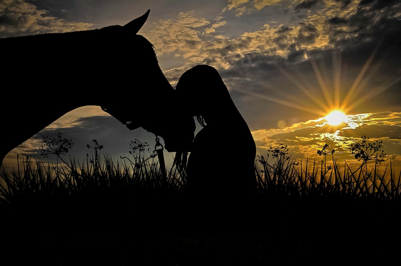 horse animal girl free photo