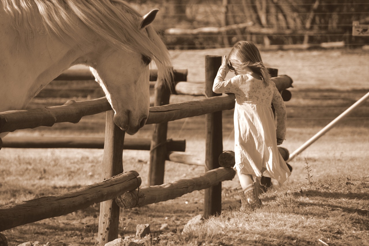 horse hair flowing free photo