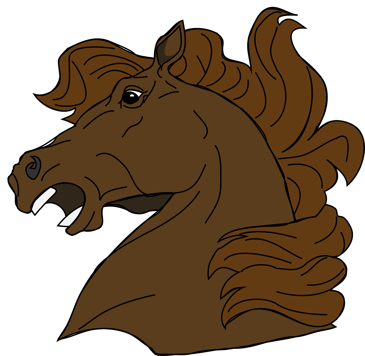 horse head cartoon free photo