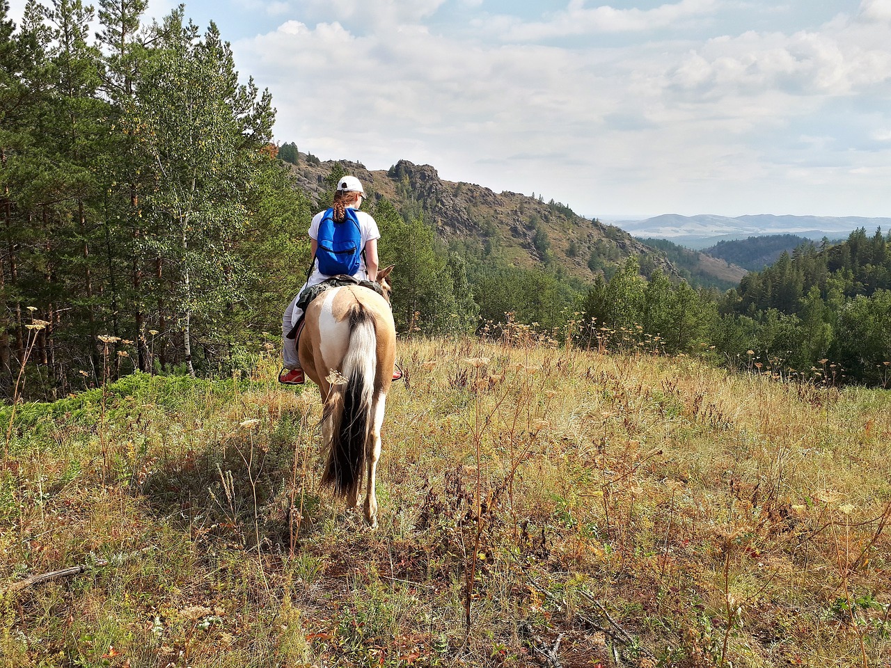 horse nature vacation free photo