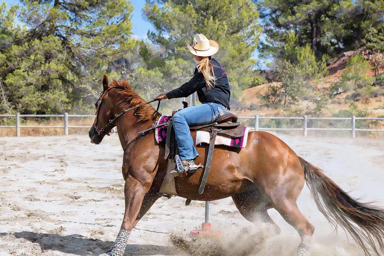 horse mane equine free photo