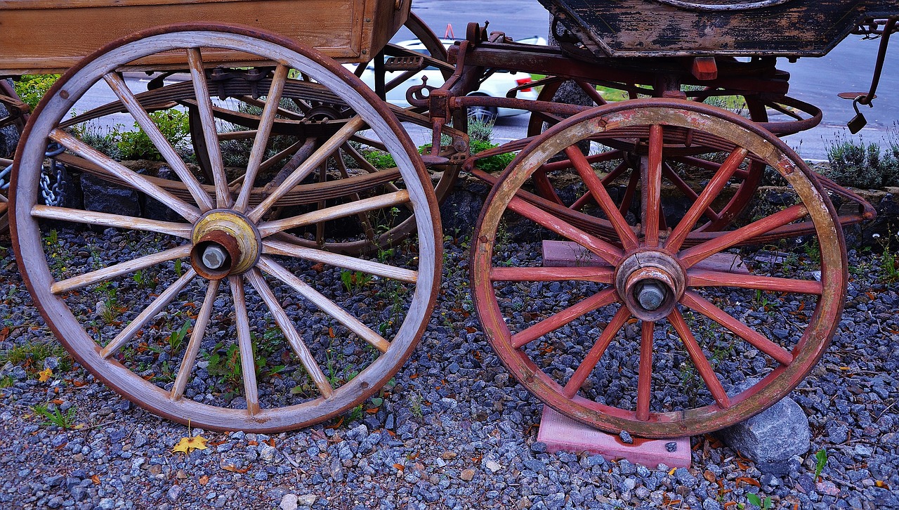 horse carrige travel free photo