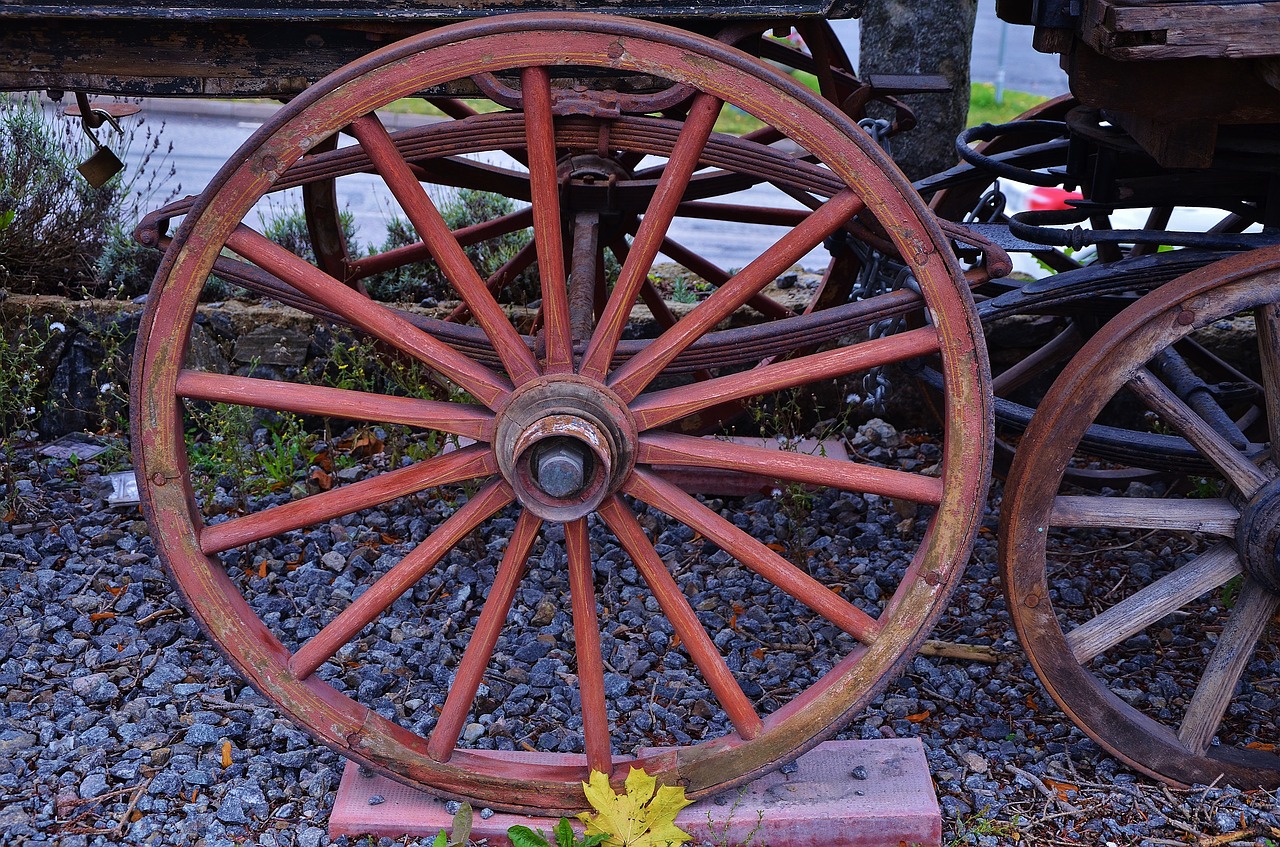 horse carrige travel free photo