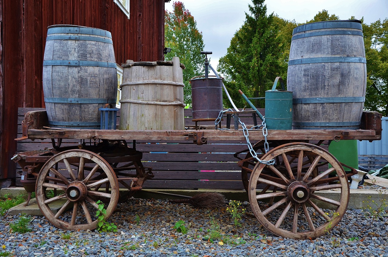 horse carrige travel free photo