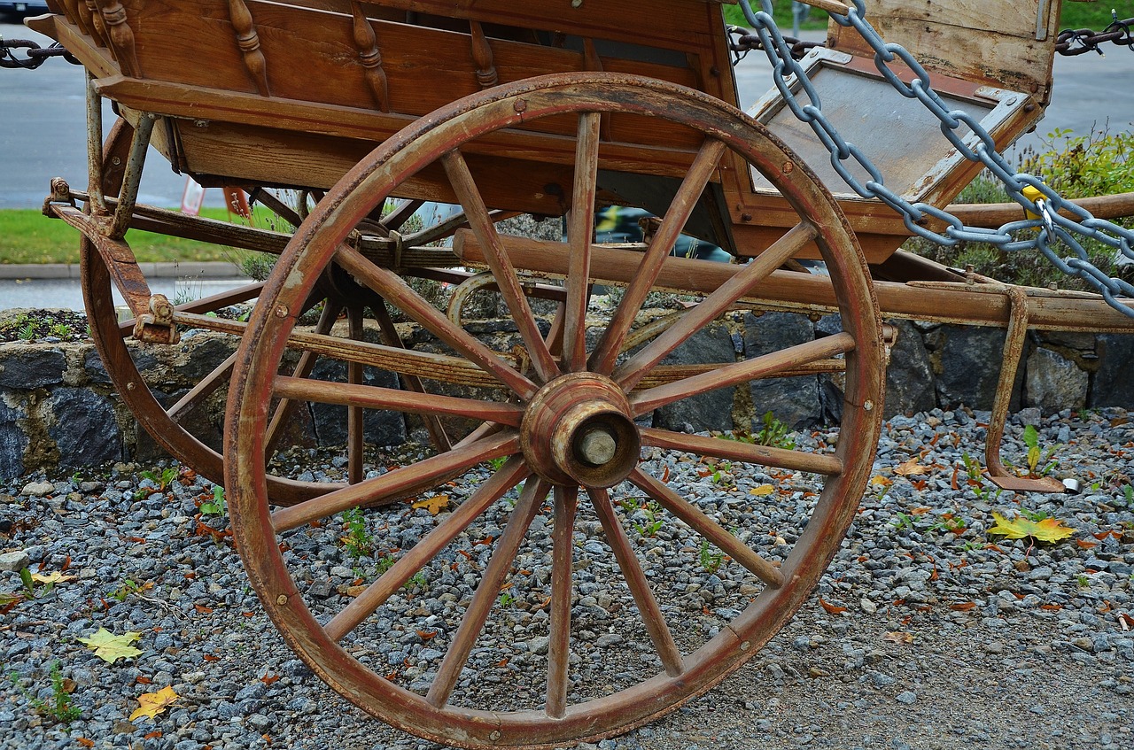 horse carrige travel free photo