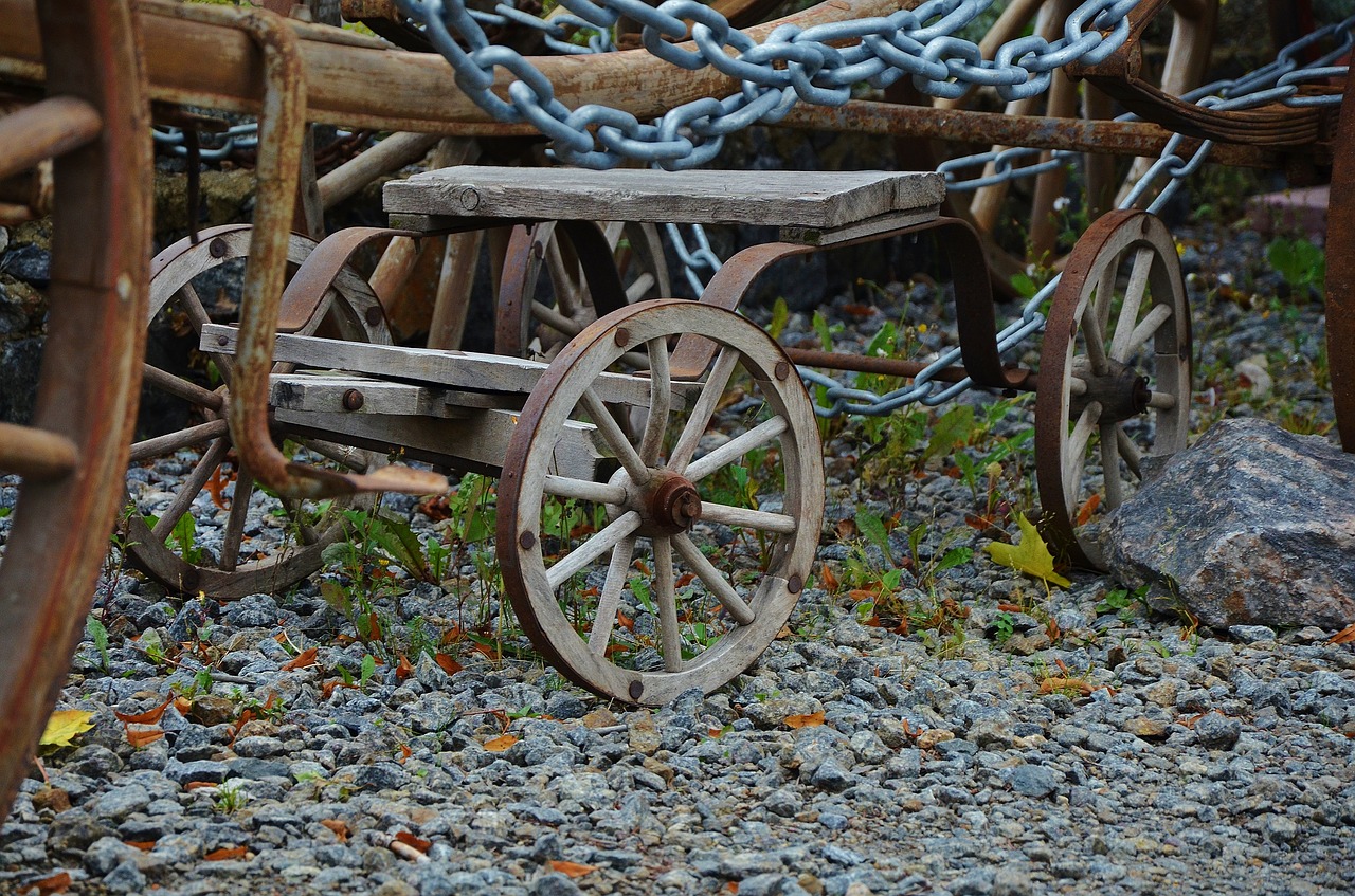 horse carrige travel free photo