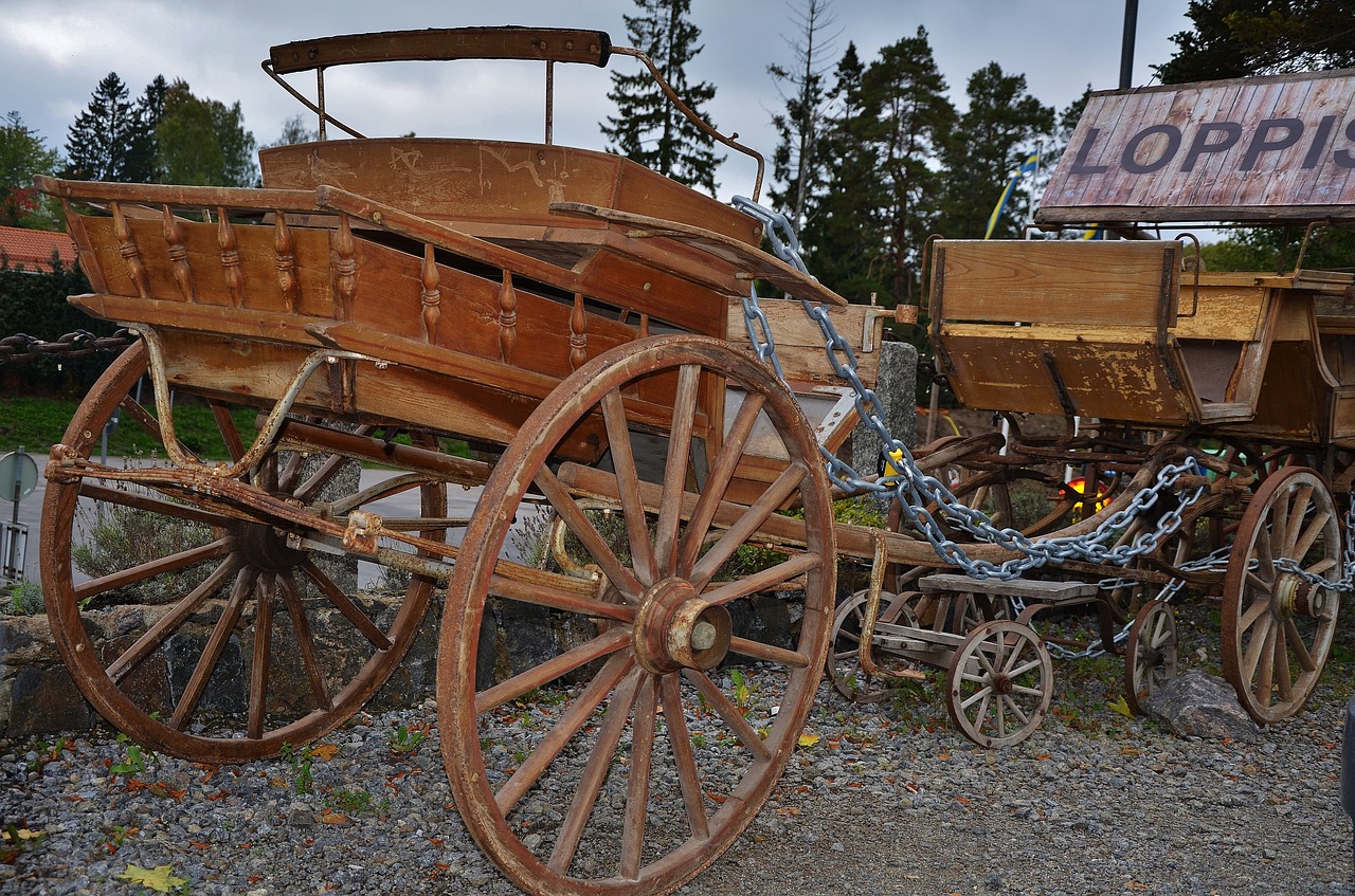 horse carrige travel free photo