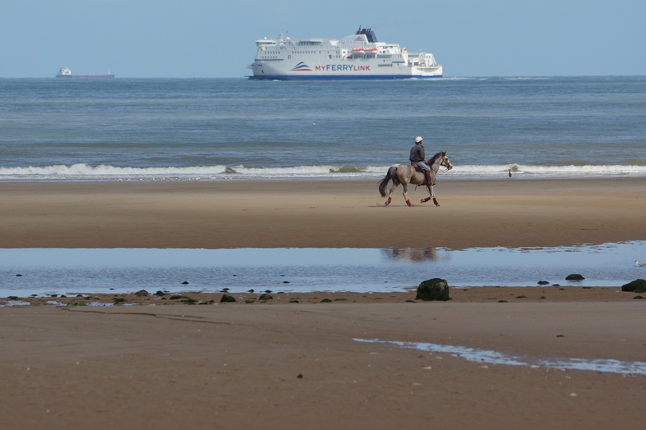 horse beach beach rider free photo