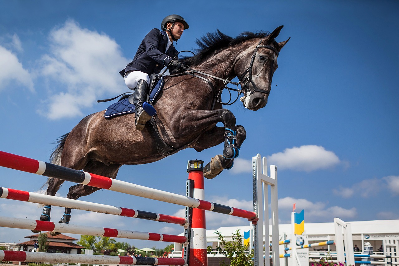 horse rider show jumping free photo
