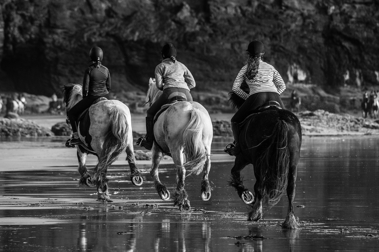 horse races running free photo