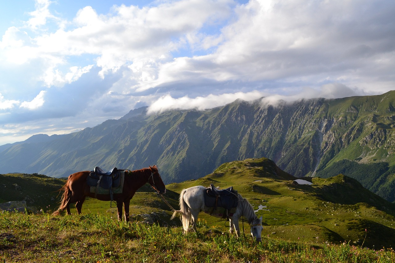 horse mountains nature free photo