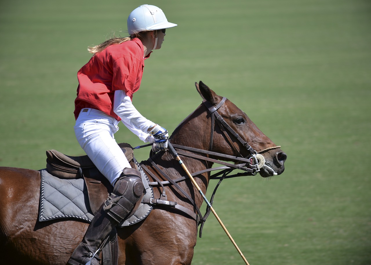 Download free photo of Horse,polo,sport,player,horses - from needpix.com