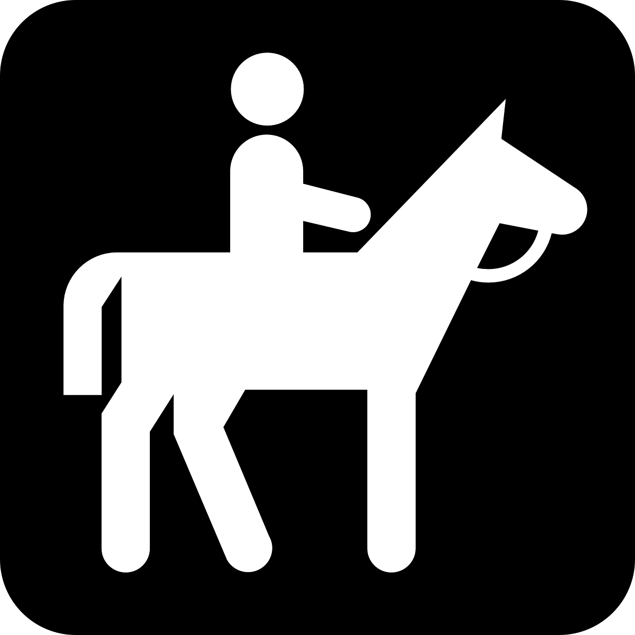horse rider jockey free photo