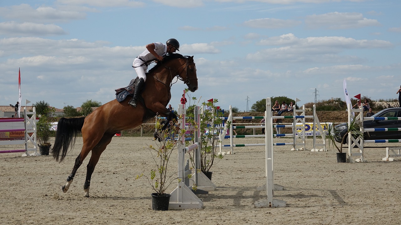 horse jumping amateur sport free photo