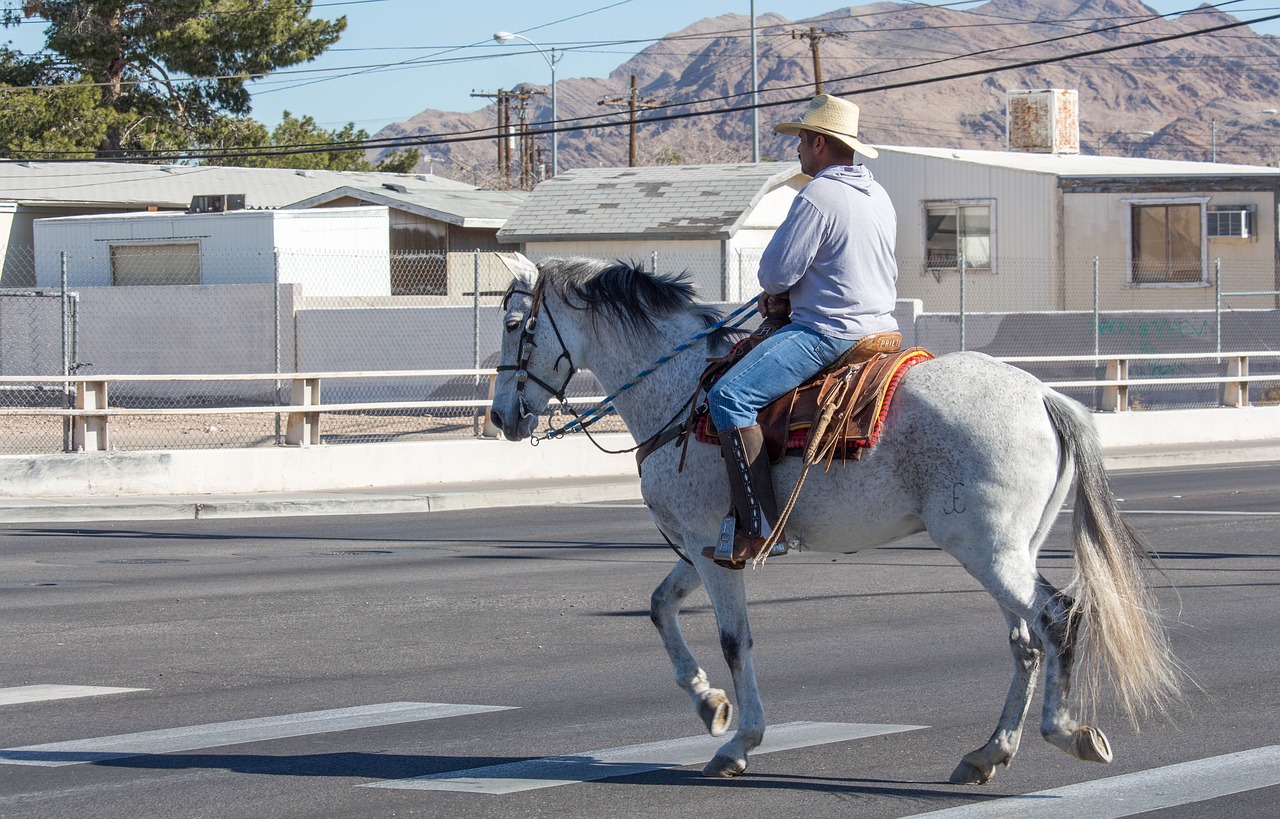 horse man rural free photo