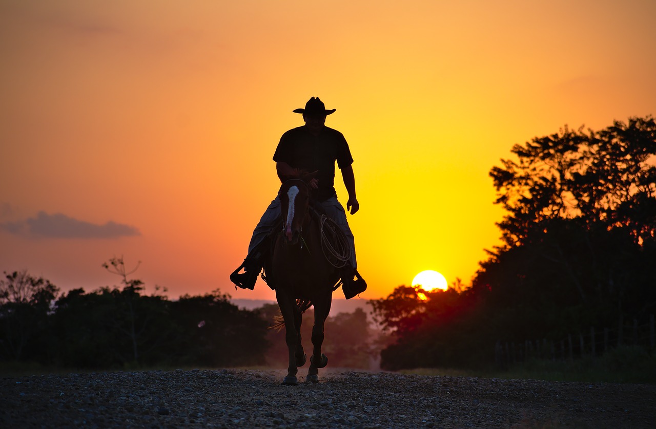 horse cowboy silhouette free photo