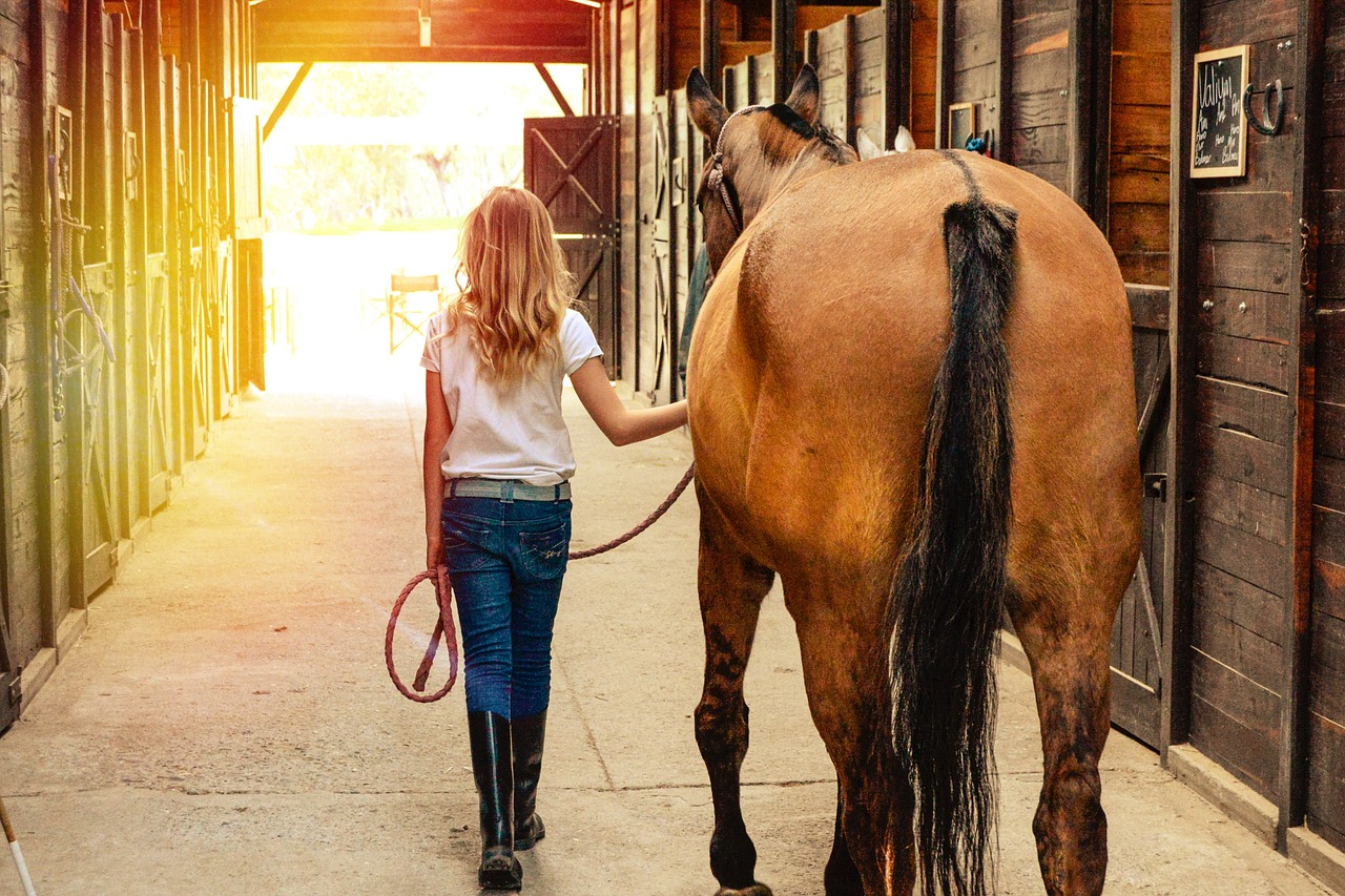 horse horses stables free photo