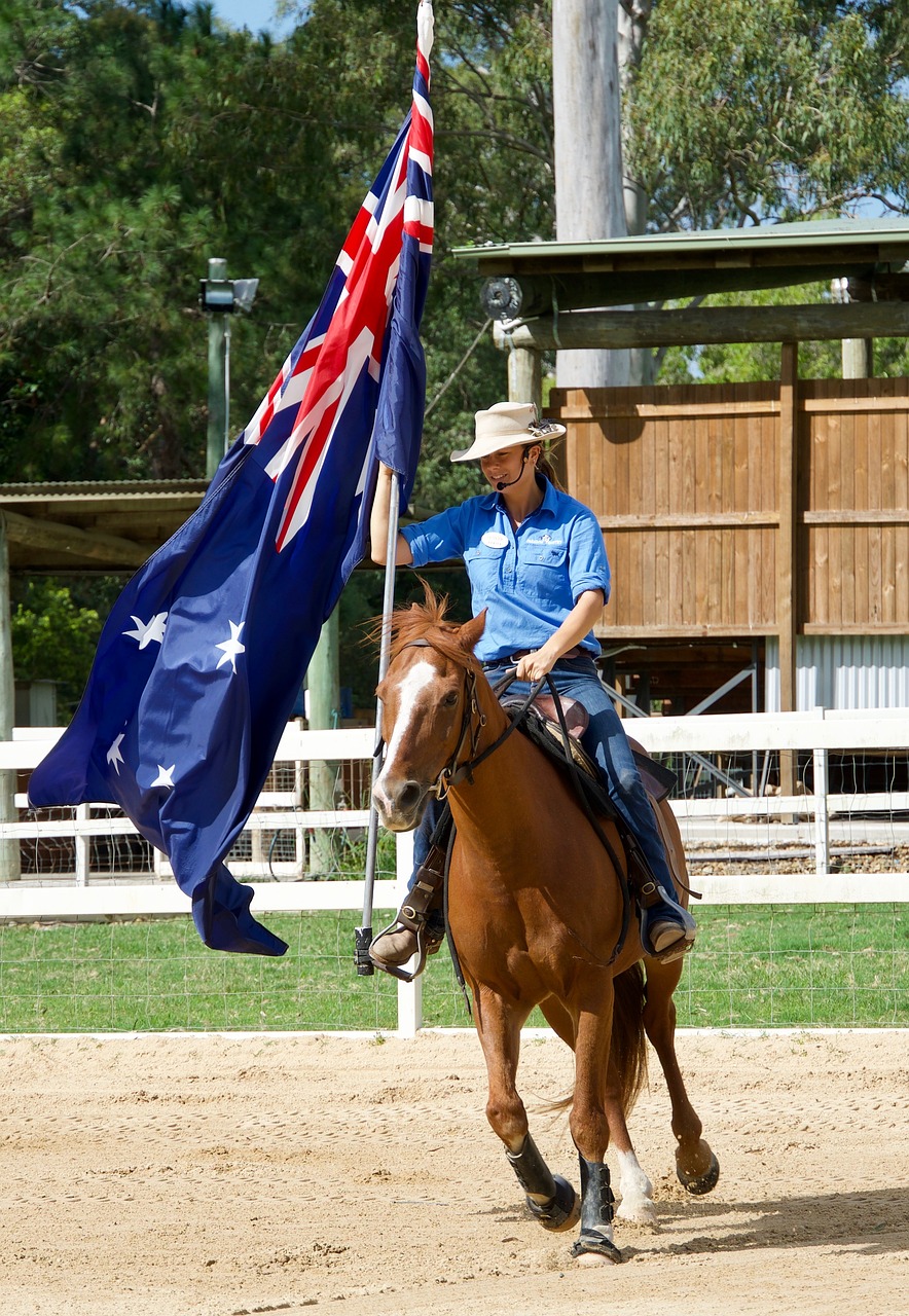 horse flag competition free photo