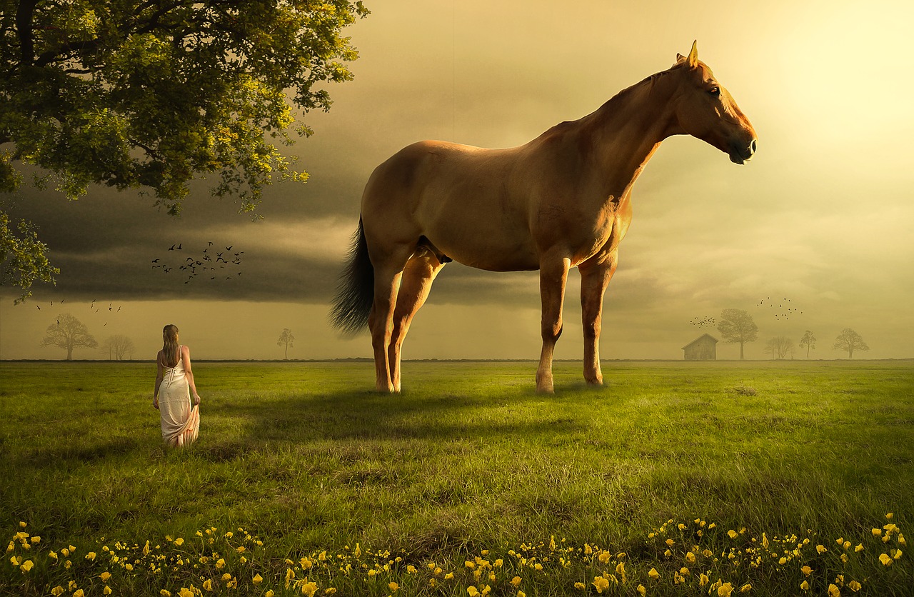 horse field meadow free photo