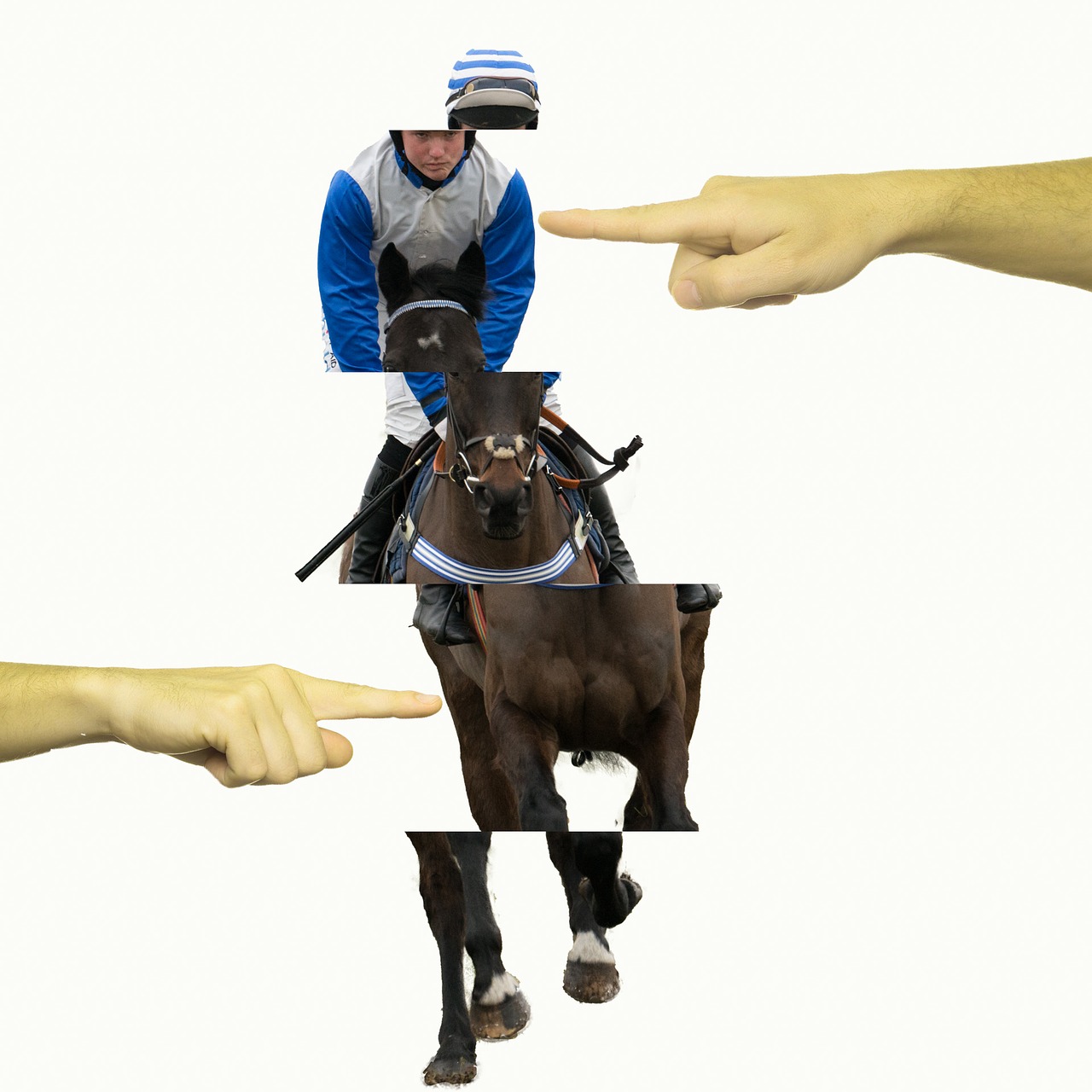 horse race equestrian free photo