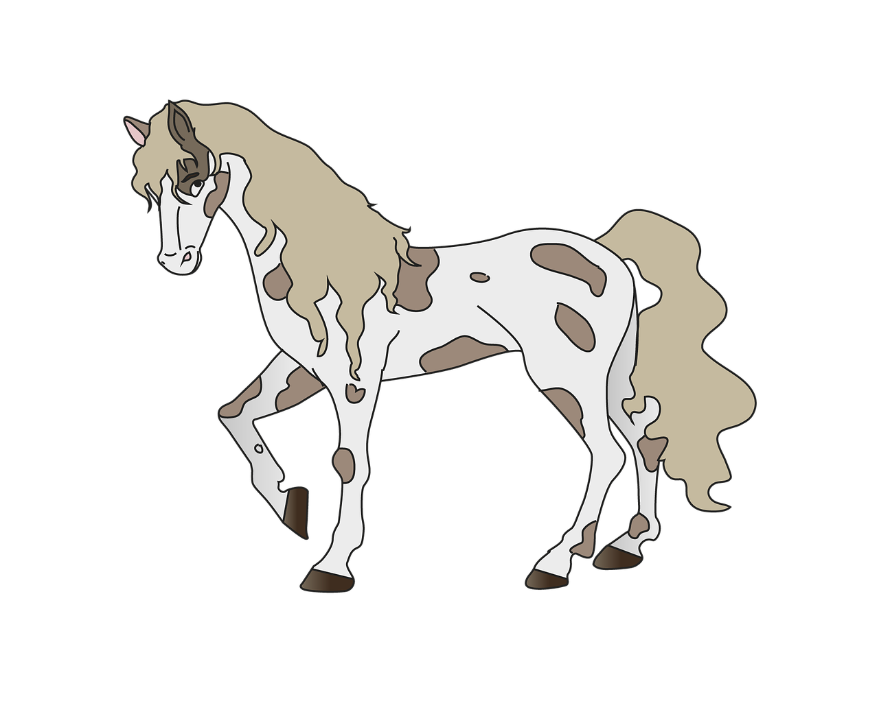 horse  transparent  points free photo