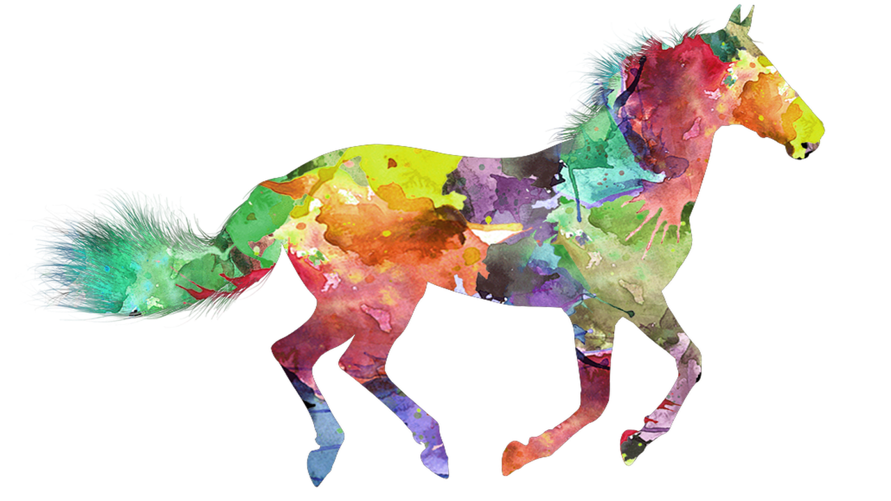 horse  colorful horse  painted horse free photo