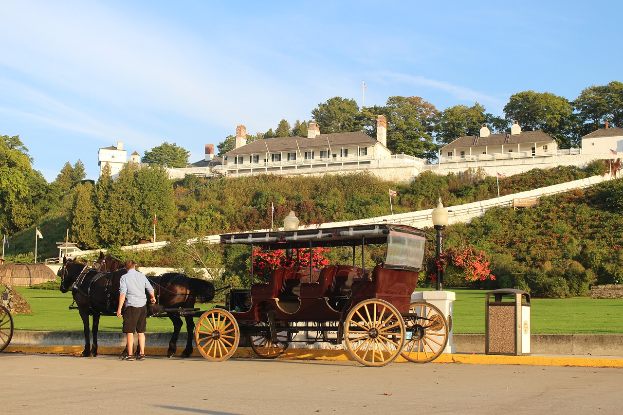 horse  carriage  cart free photo