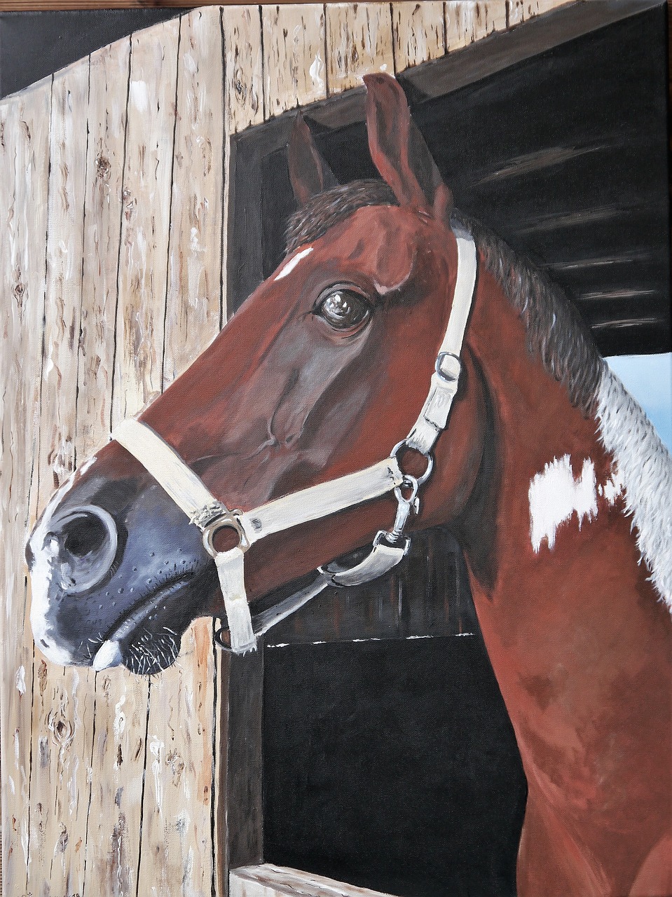 horse  painted  acrylic paints free photo
