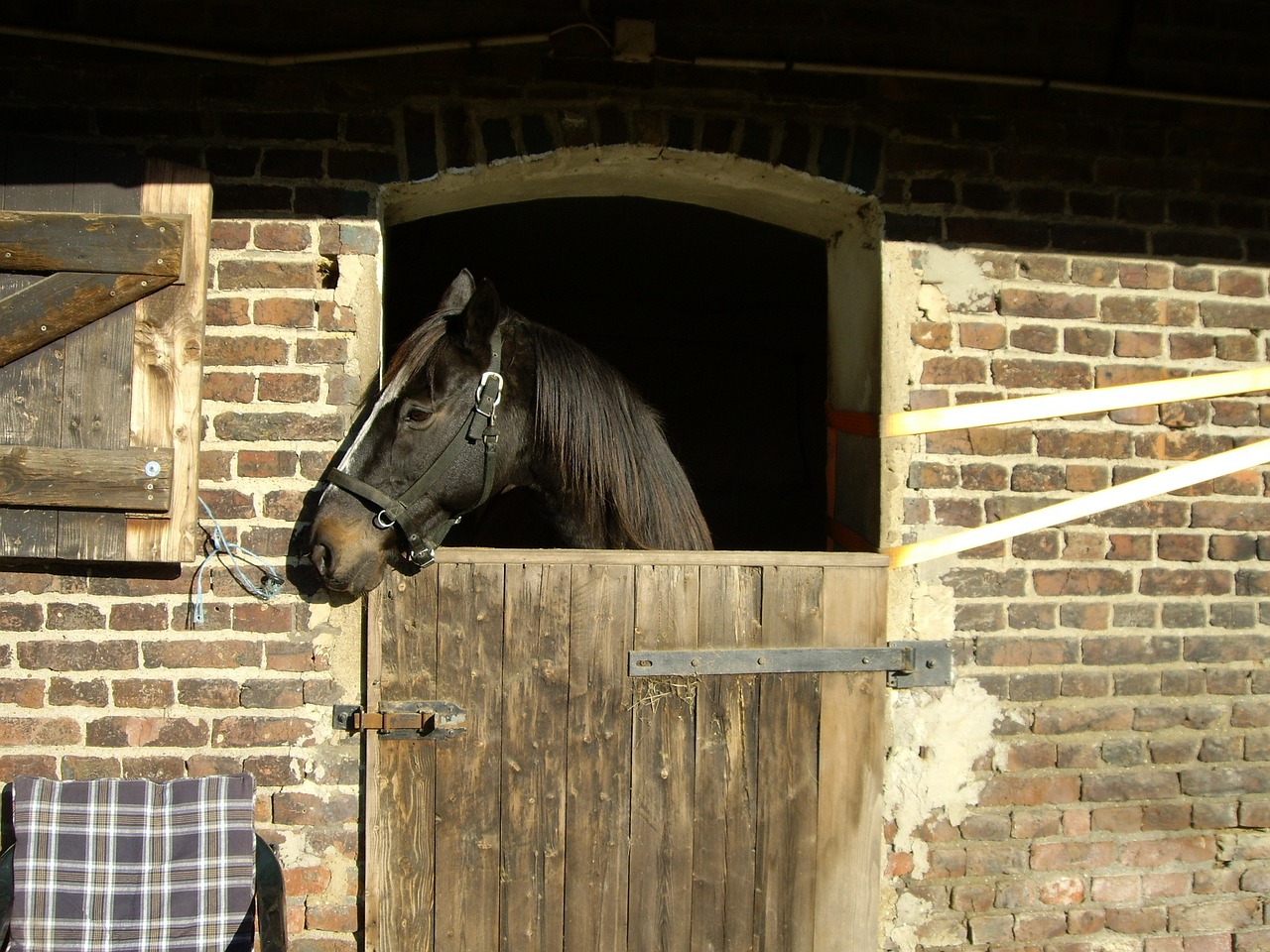 horse box stall free photo