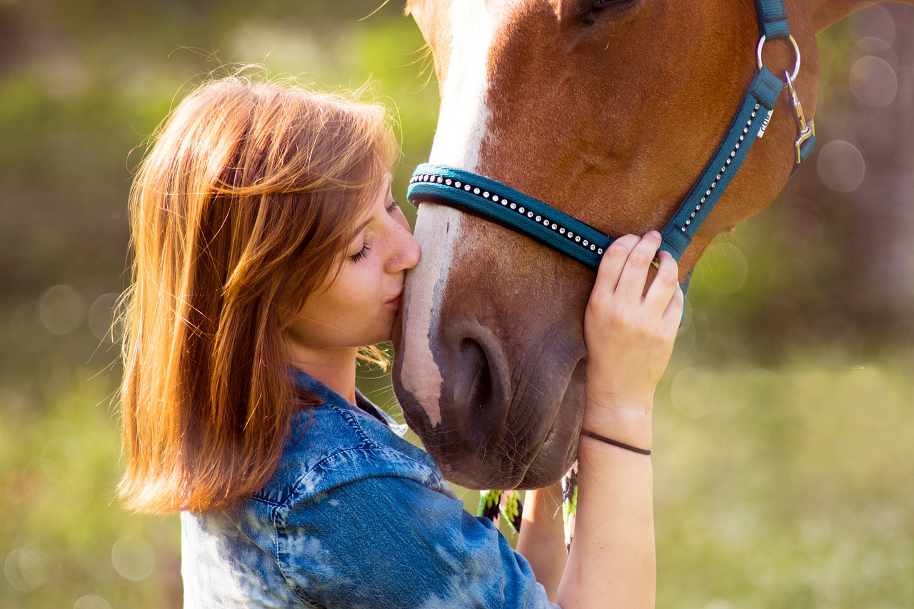 horse  human  girl free photo