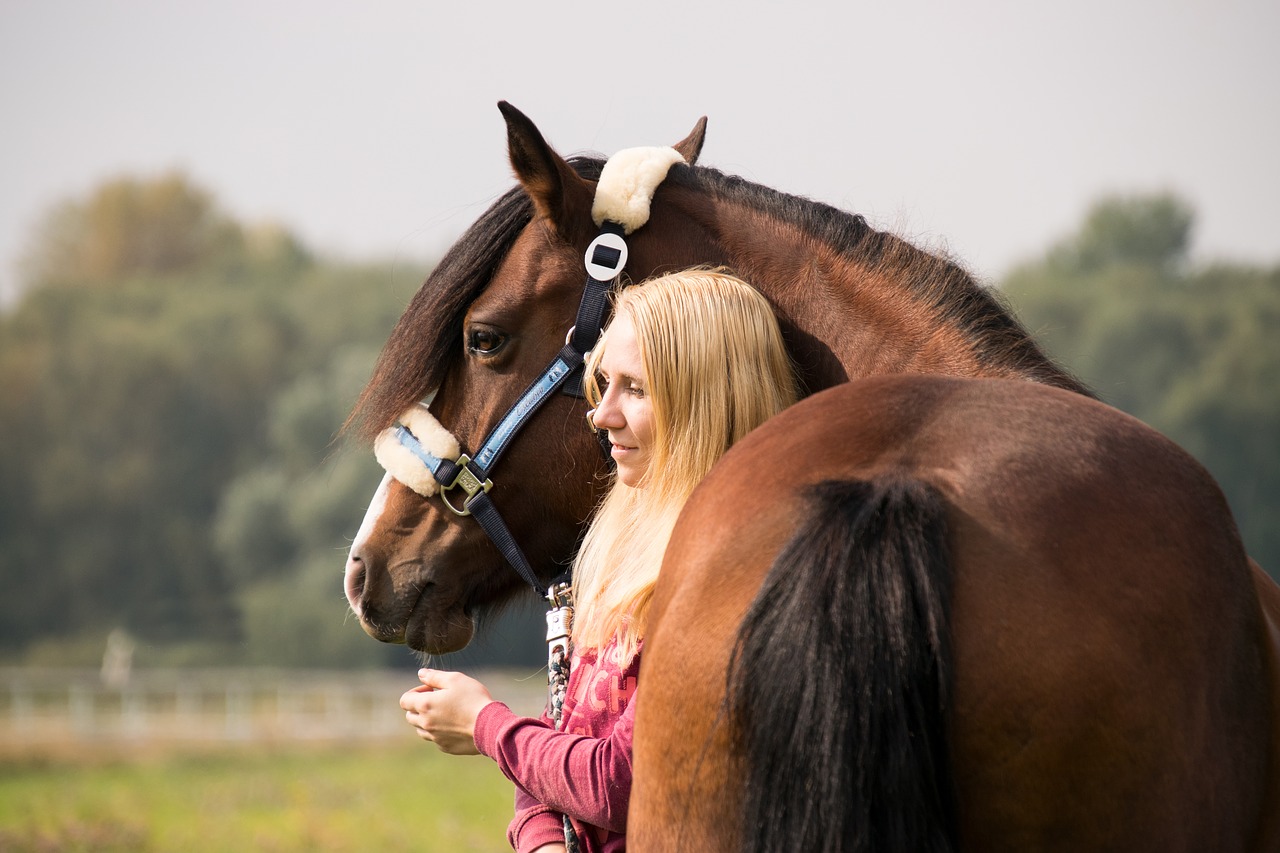 horse  human  woman free photo