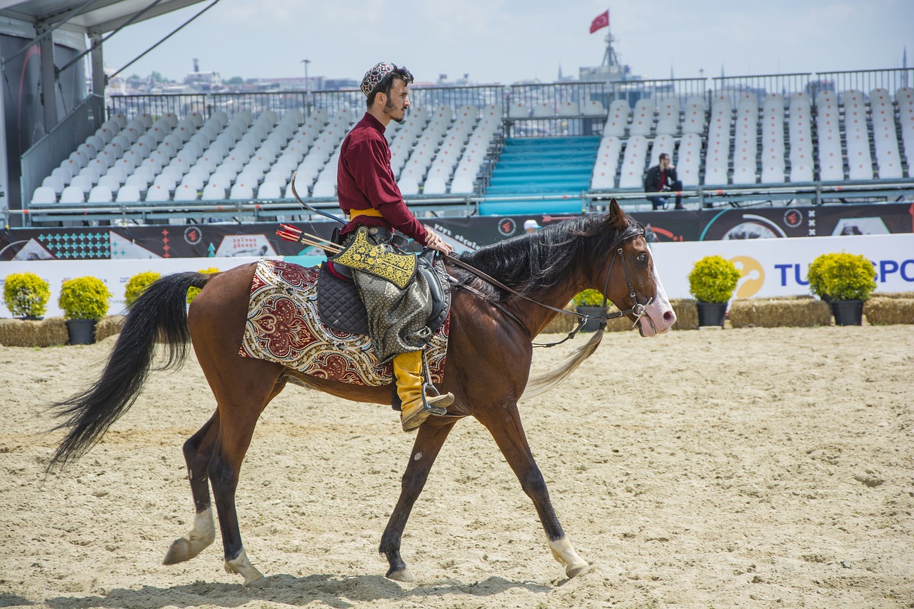 horse  animal  open-air free photo