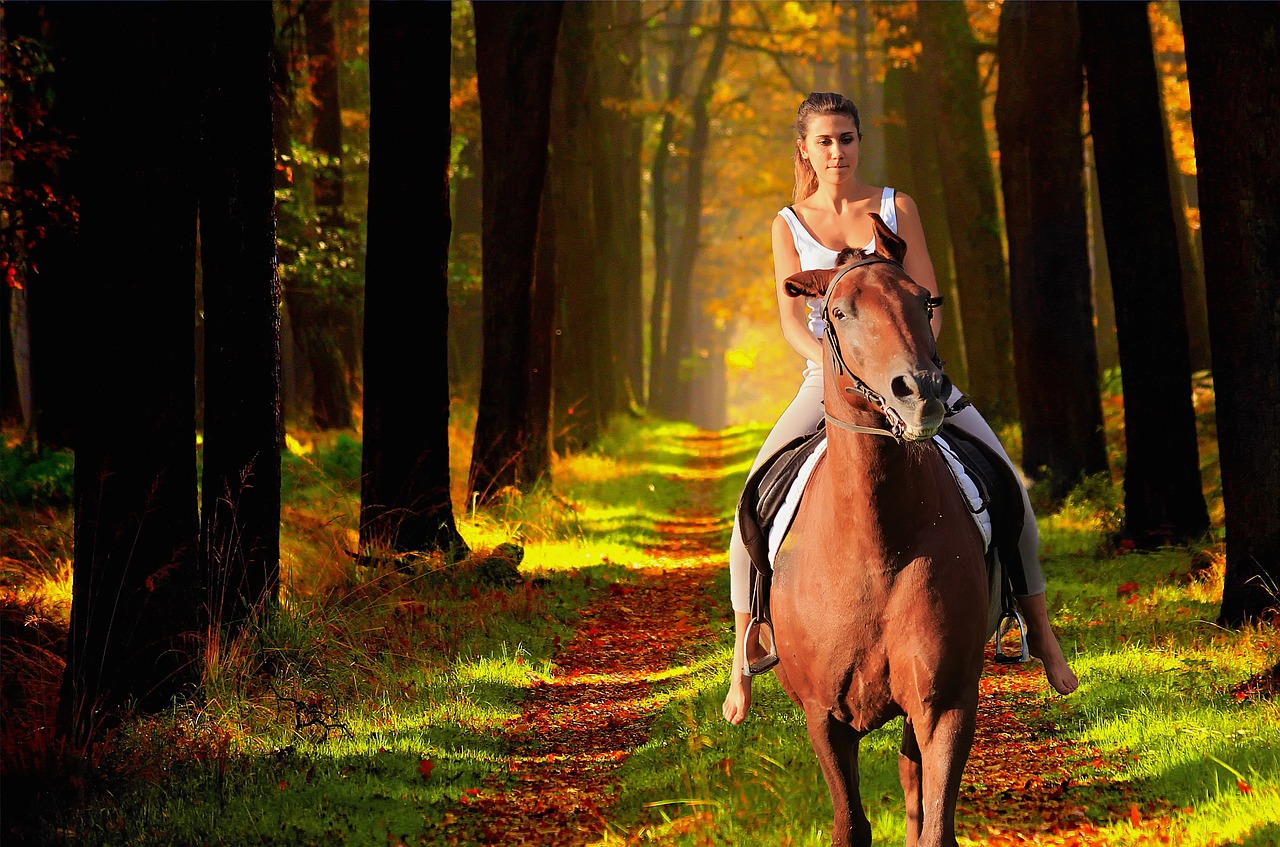 horse  girl  enchantment free photo