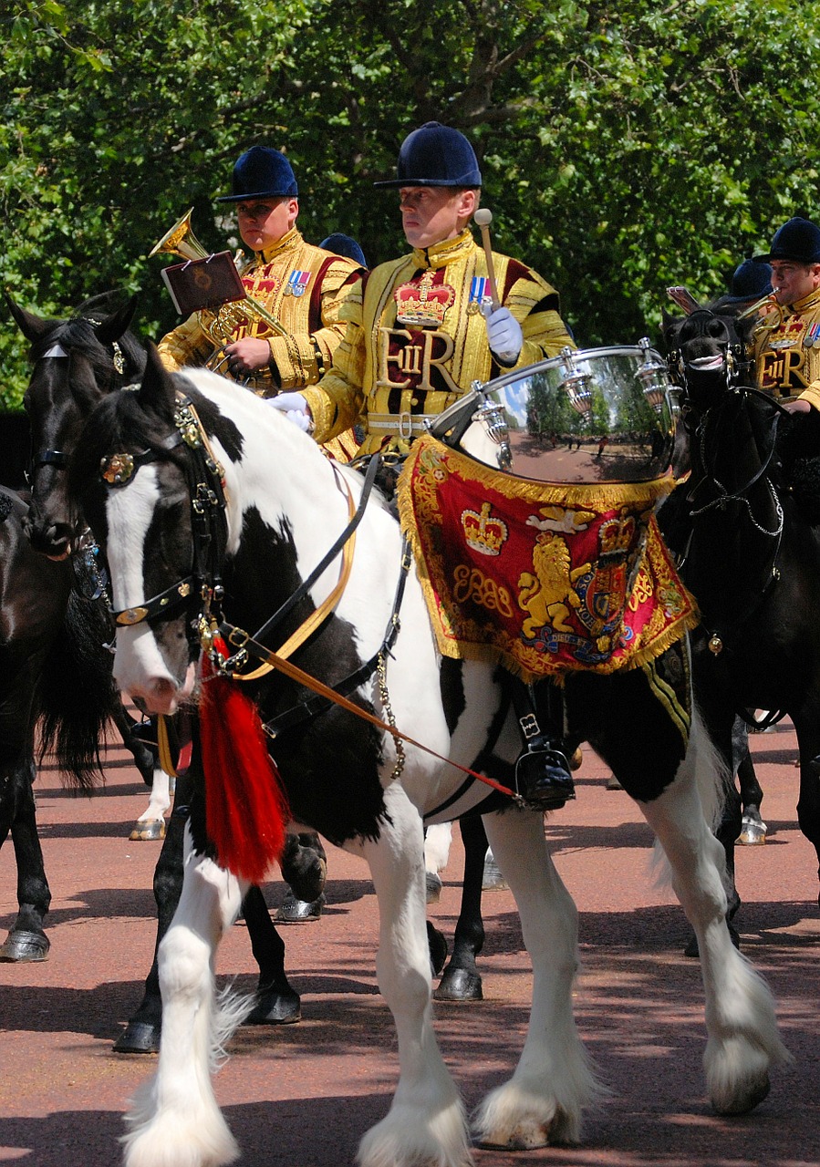 horse drummer pageantry free photo