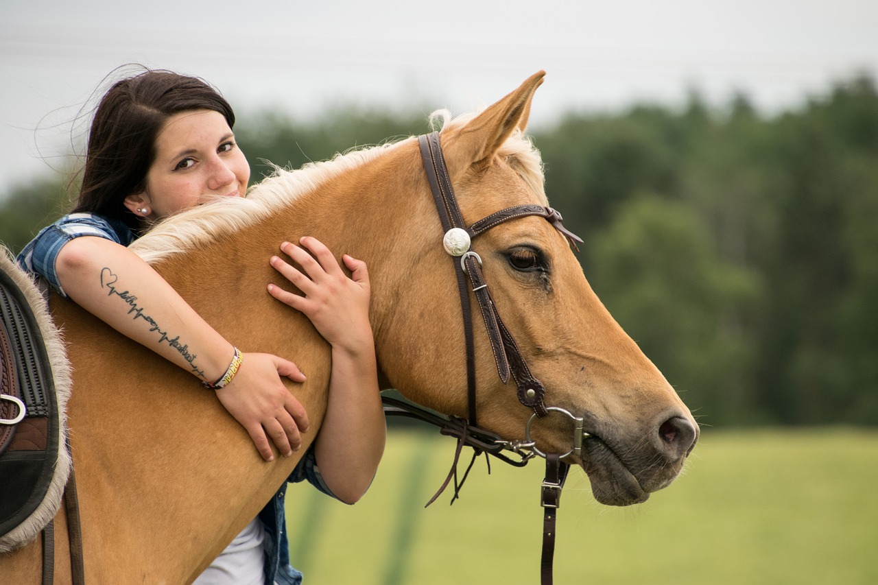 horse  animal  friendship free photo