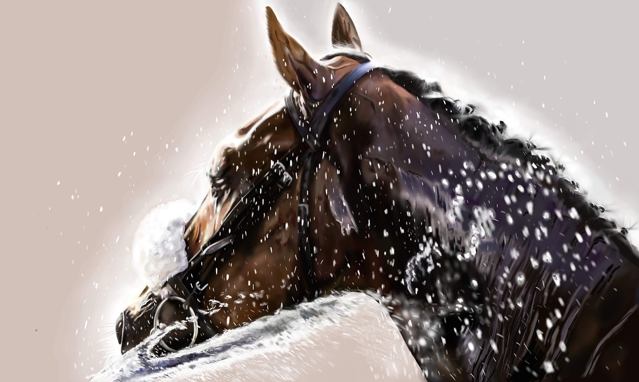 horse  digital art  equestrian free photo