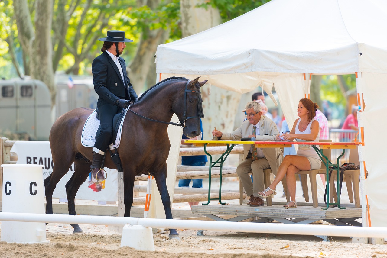 horse  contest  sport free photo