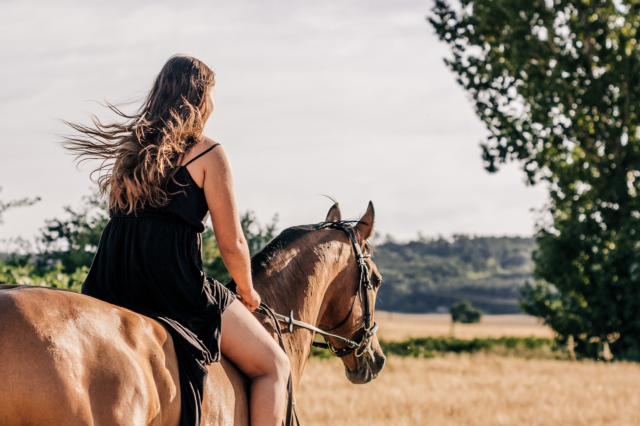 horse  girl  ride free photo