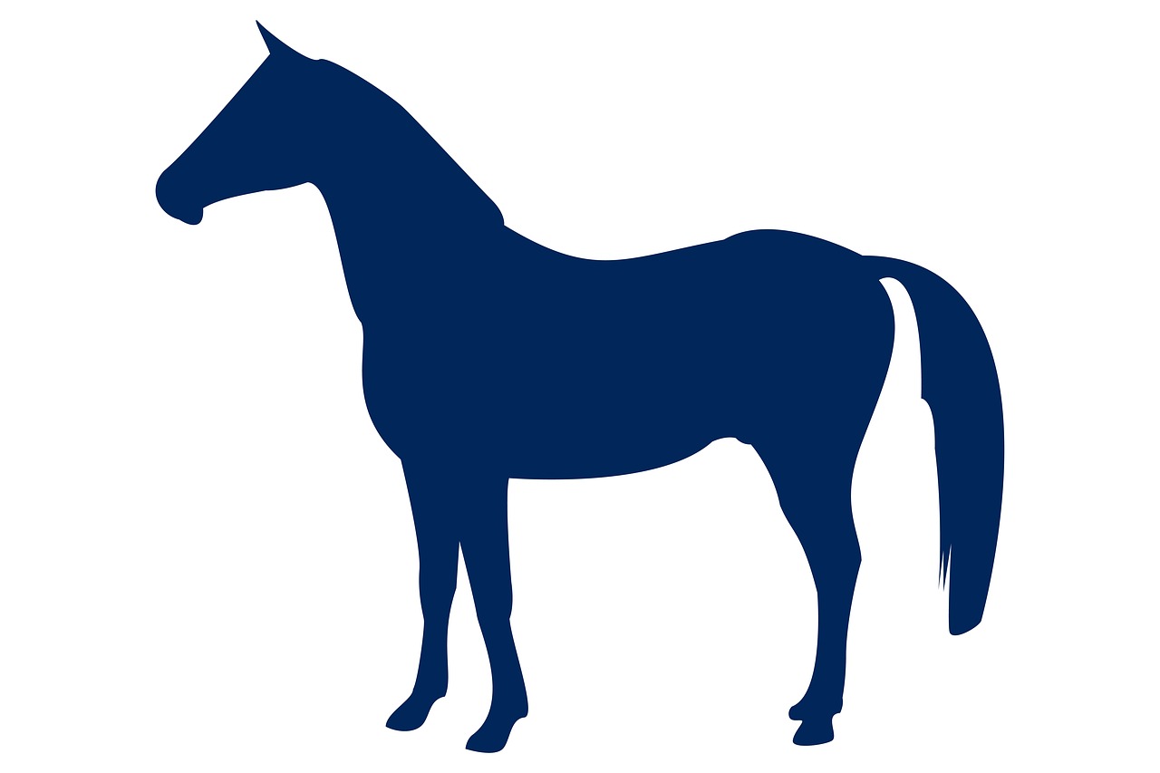 horse  animal  silhouette free photo