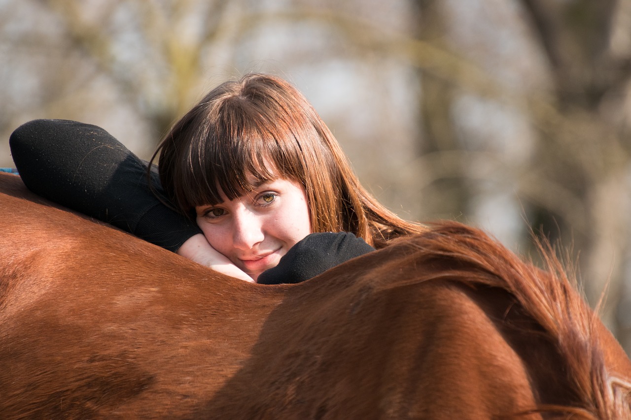 horse  fuchs  animal free photo