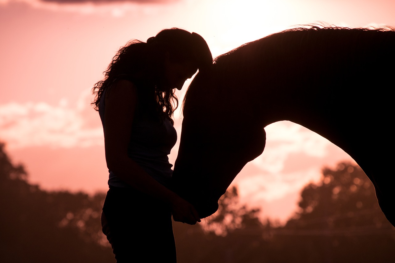 horse  woman  animal free photo