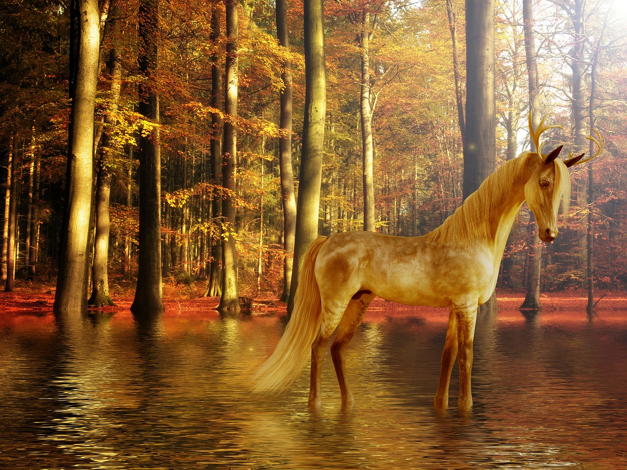 horse  unicorn  fantasy free photo