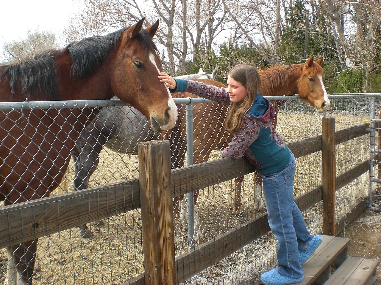 horse girl friends free photo