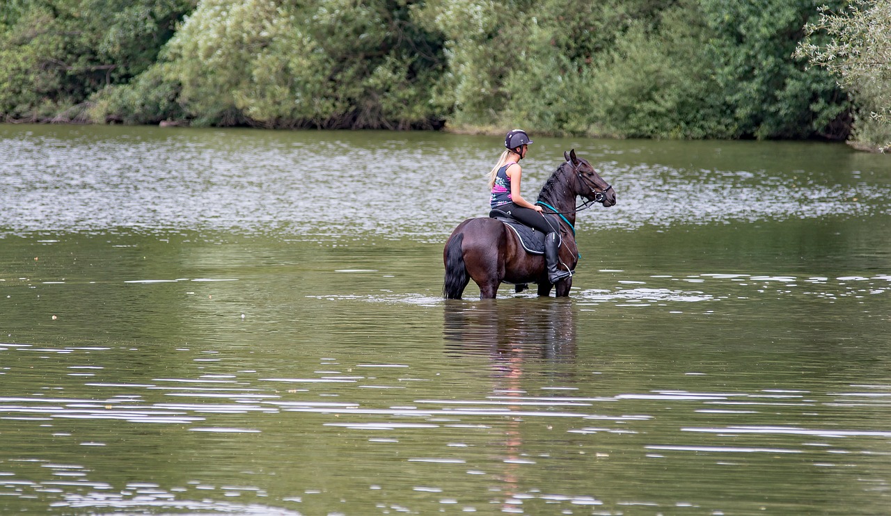 horse  water  rider free photo