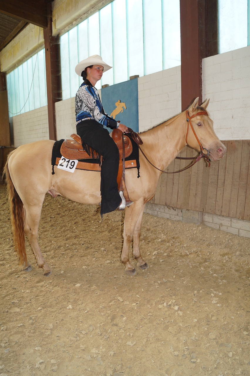 horse dun cowboy free photo