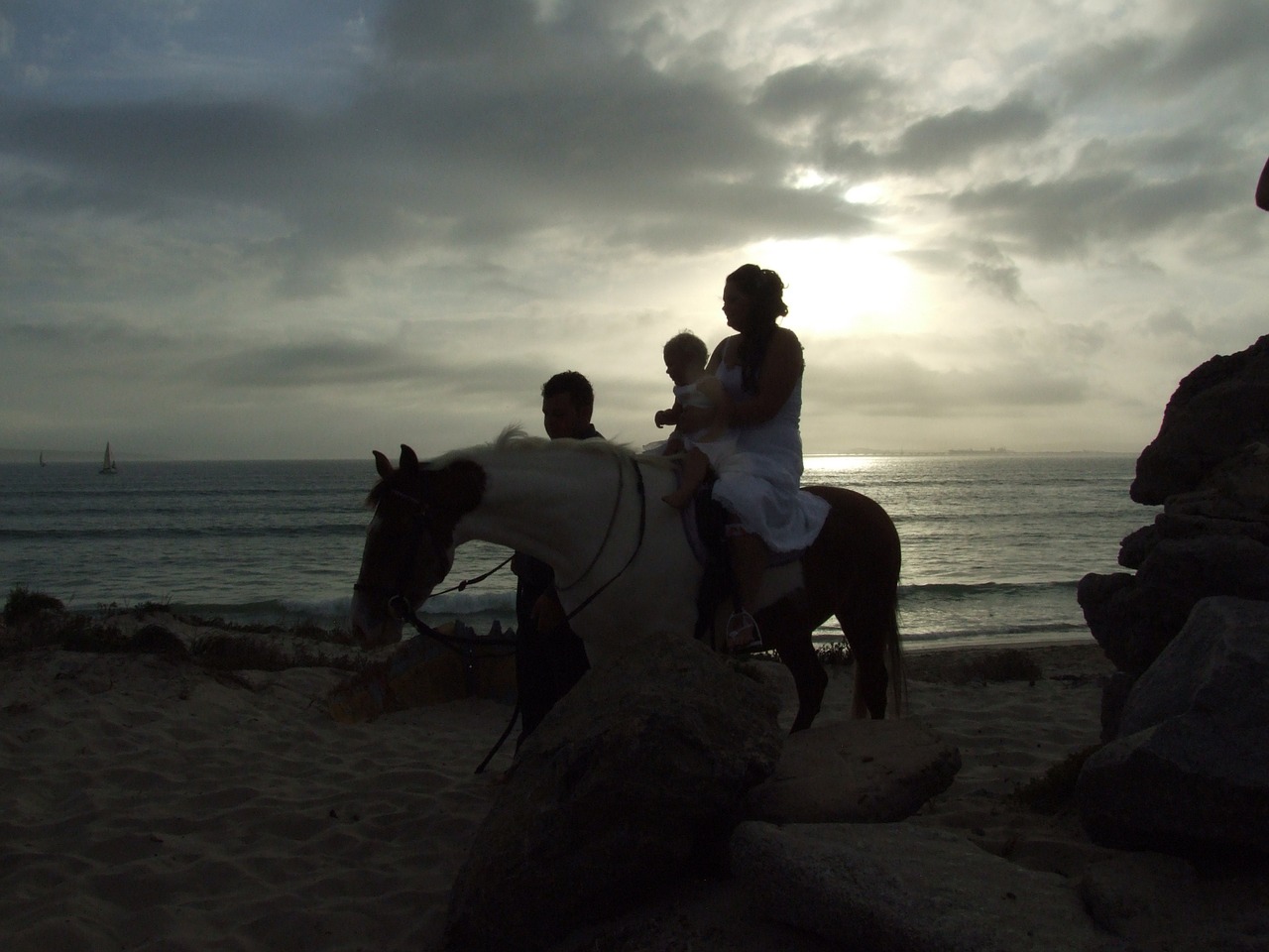 horse sunset sky free photo