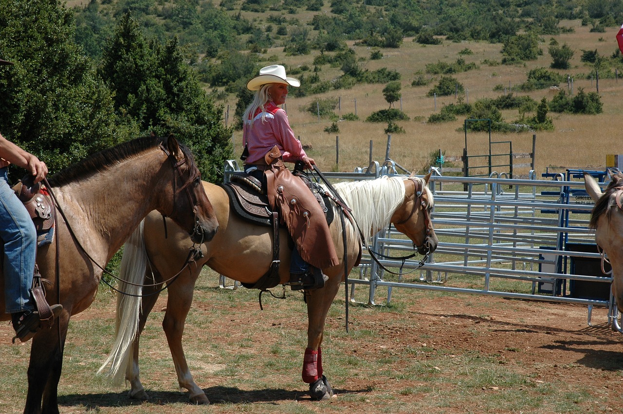 horse  ranch  cowboy free photo